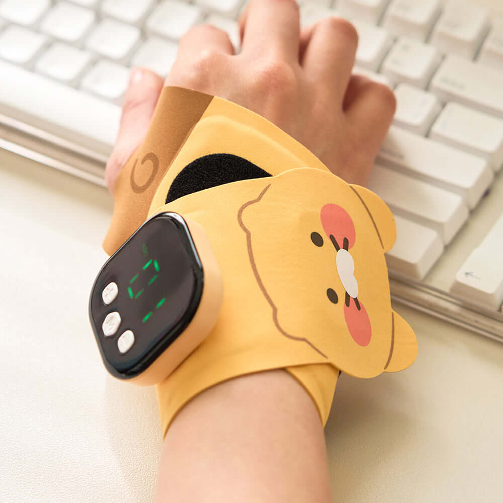Kakao Friends Chunsik Massager