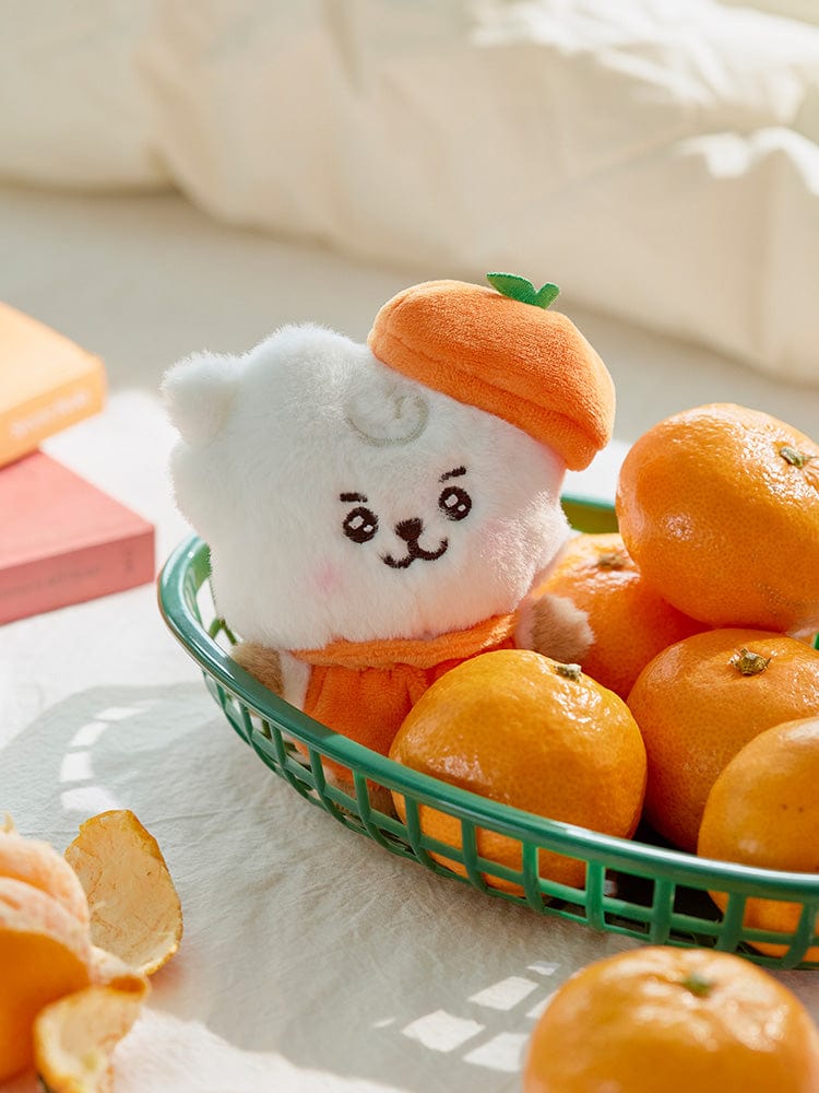 BT21 RJ ベビープラッシュ オレンジパーティー