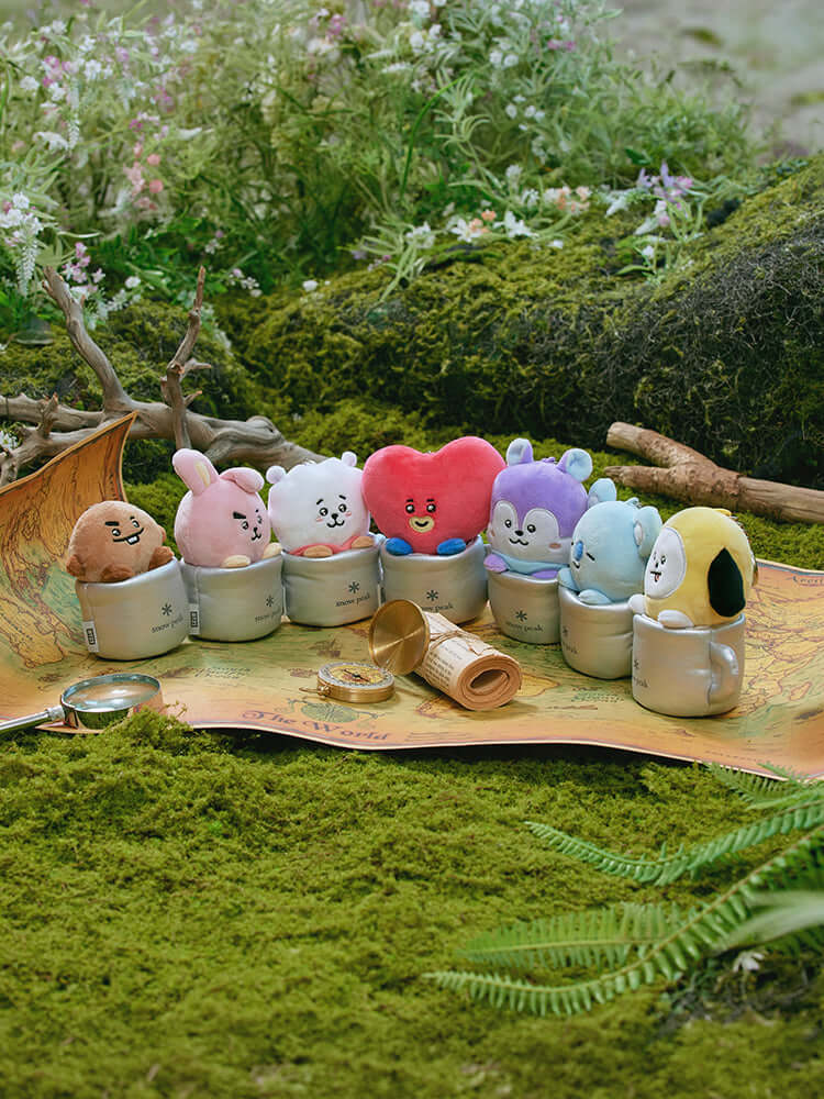 BT21 SNOW PEAK KEYRING