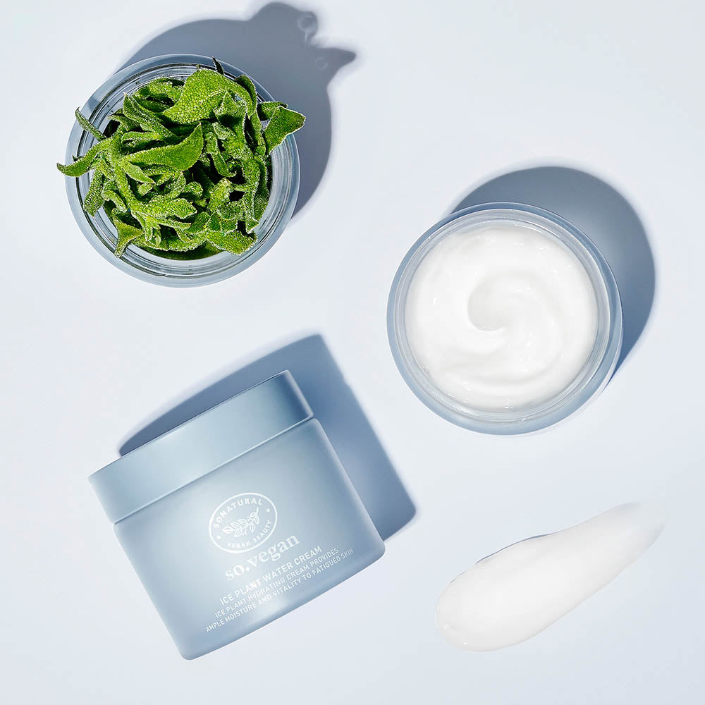 SO NATURAL Ice Plant Water Cream 70ml