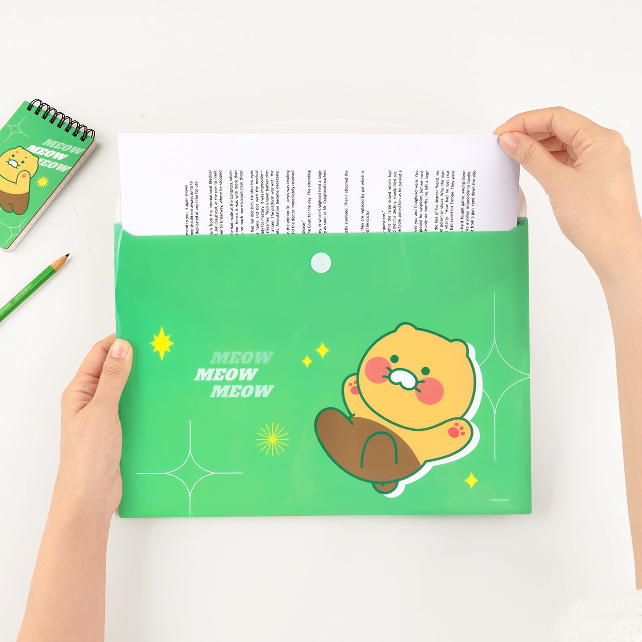 Chunsik Stationery - Korean kawaii Kakao Friends | Koolseoul