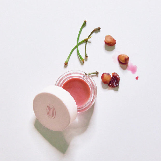 ANILLO Rose Glow Balm in an open container with rose stems and petals on a white background.