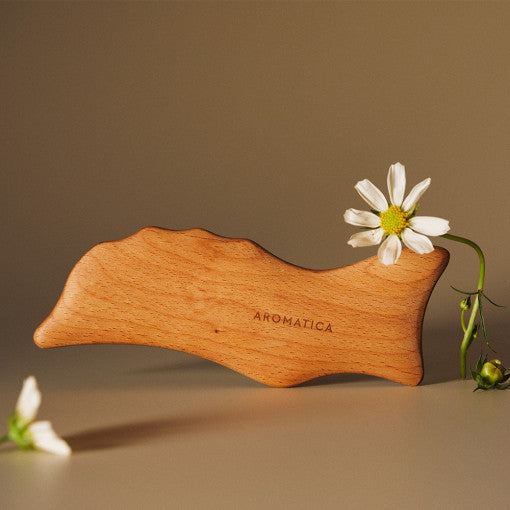 AROMATICA Dolphin Body Massager (L Size) | Kool Seoul