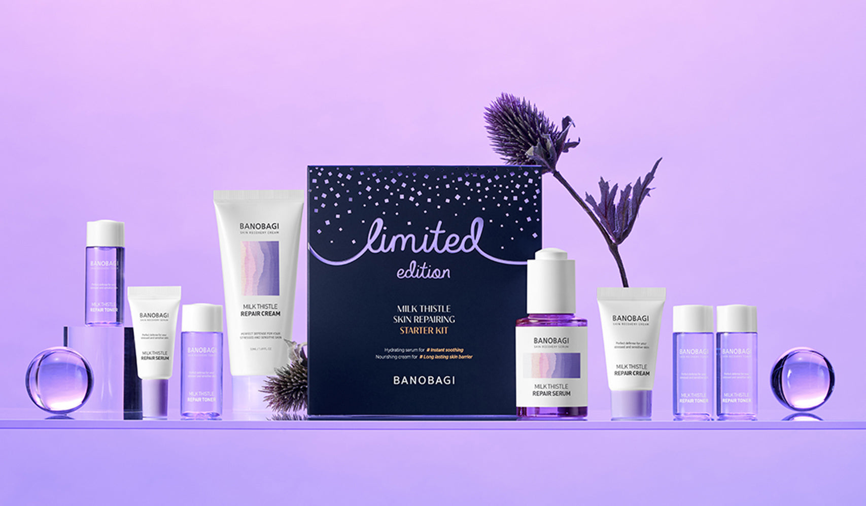 Limited edition Banobagi skincare set on a purple background, featuring various creams, serums, and a decorative flower.