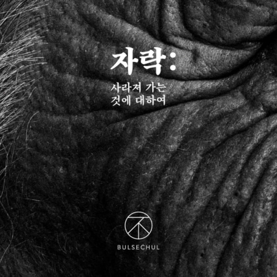 Bulsechul - [: ] - Kpop アルバム