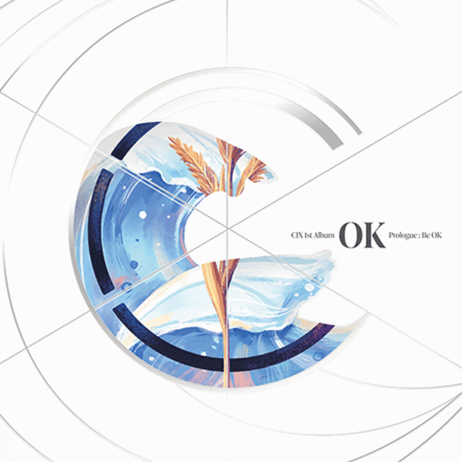 CIX - 1st Album 'OK' Prologue : [Be OK] (STORM Ver.) - Kpop  | Kool Seoul - Buy Kpop Albums Online