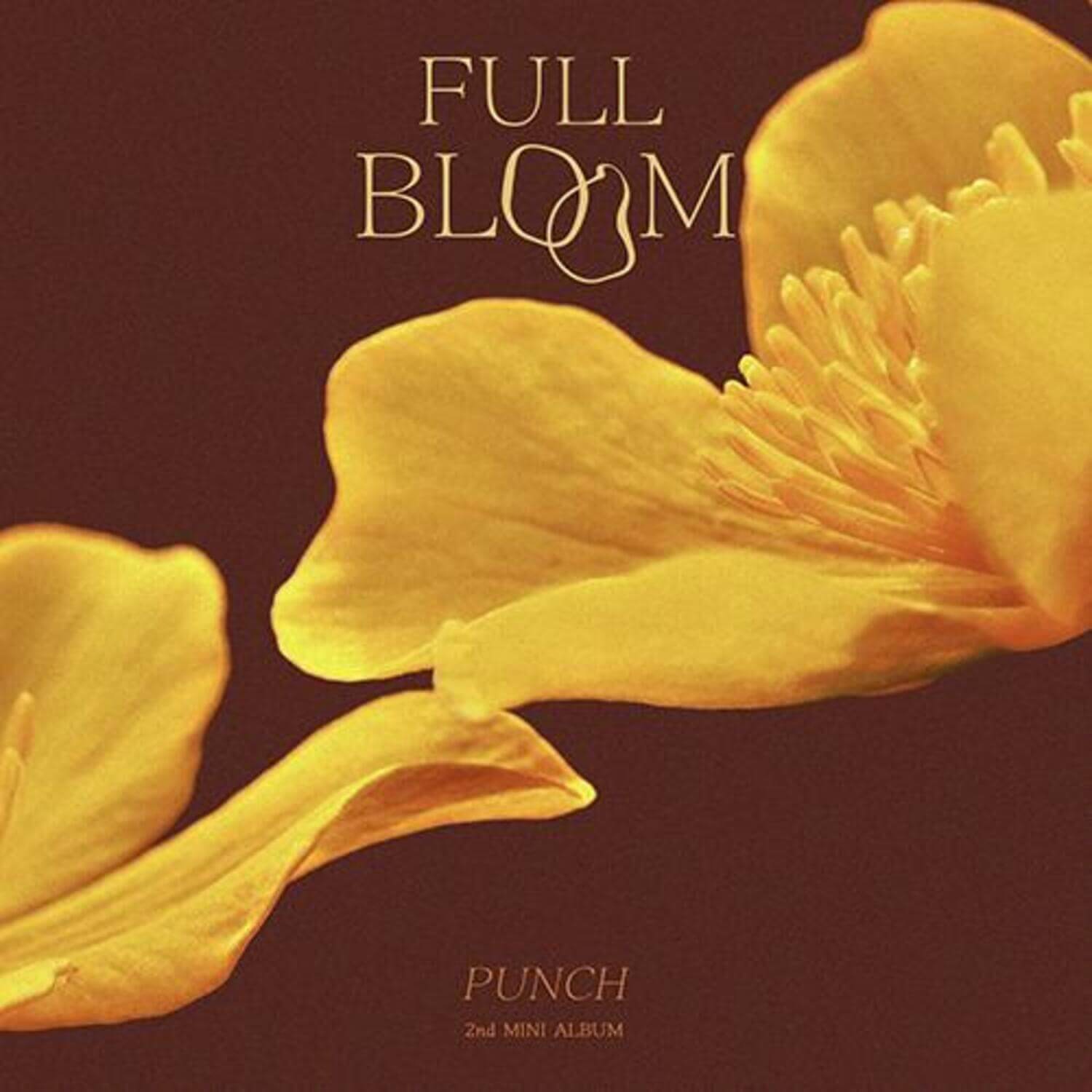 PUNCH - 2nd Album [Full Bloom ] - Kpop Album | Kool Seoul - Buy Kpop Albums Online