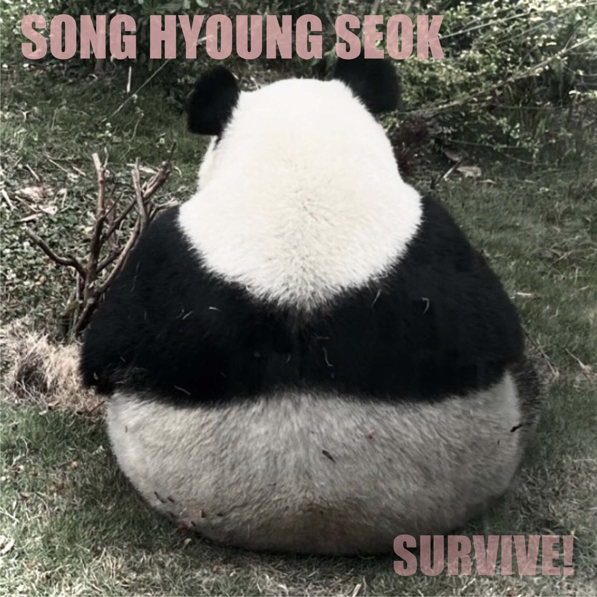 SONG HYUNGSEOK - [SURVIVE] - Kpop Album | Kool Seoul - Buy Kpop Albums Online