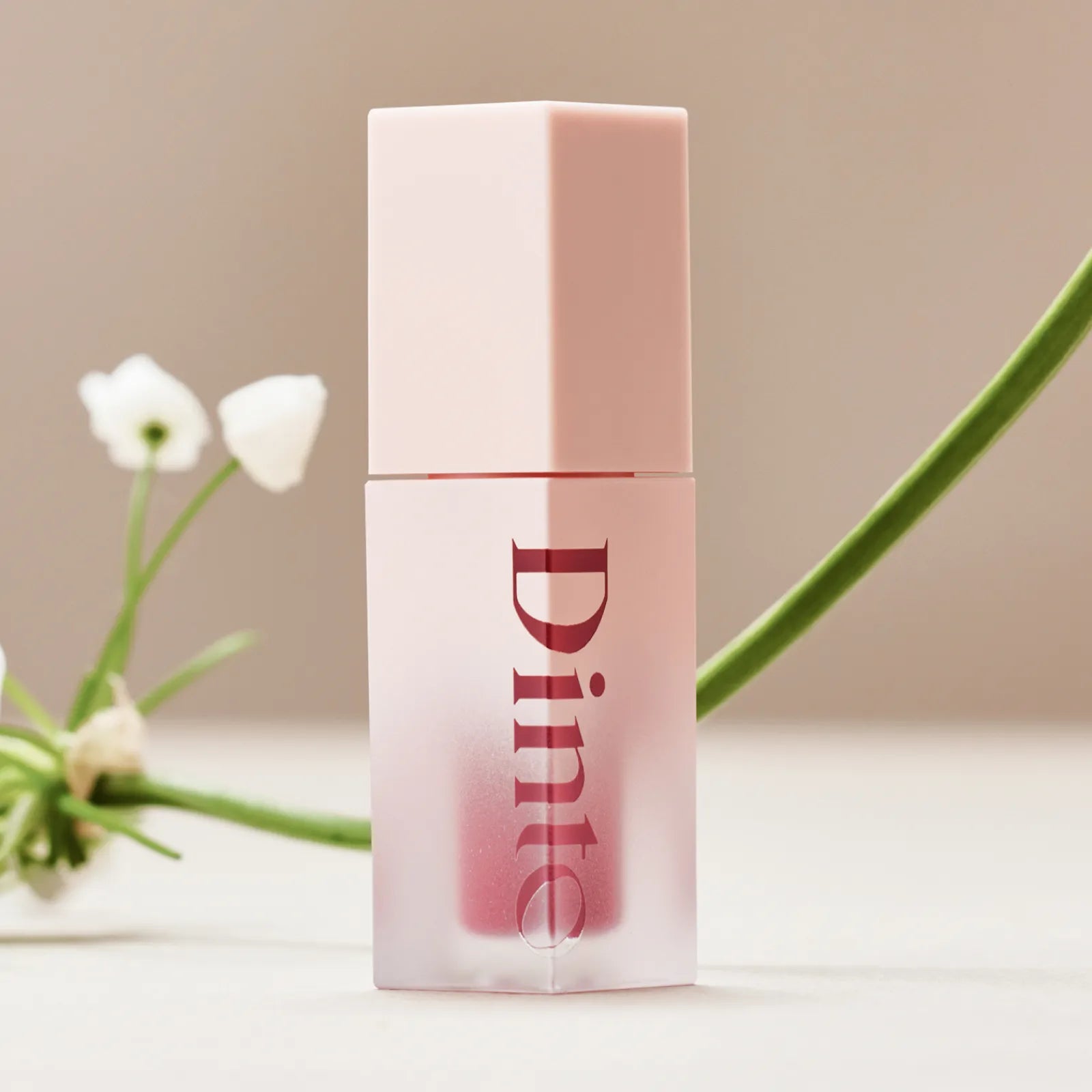Dinto Blur Jelly Plumping Mini Lip Tint