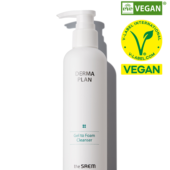 THE SAEM Derma Plan Gel To Foam Cleanser 180ml | Kool Seoul