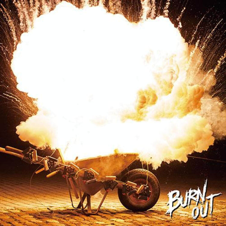 The Vipers - 1st Album [Burn Out] - KPOP アルバム