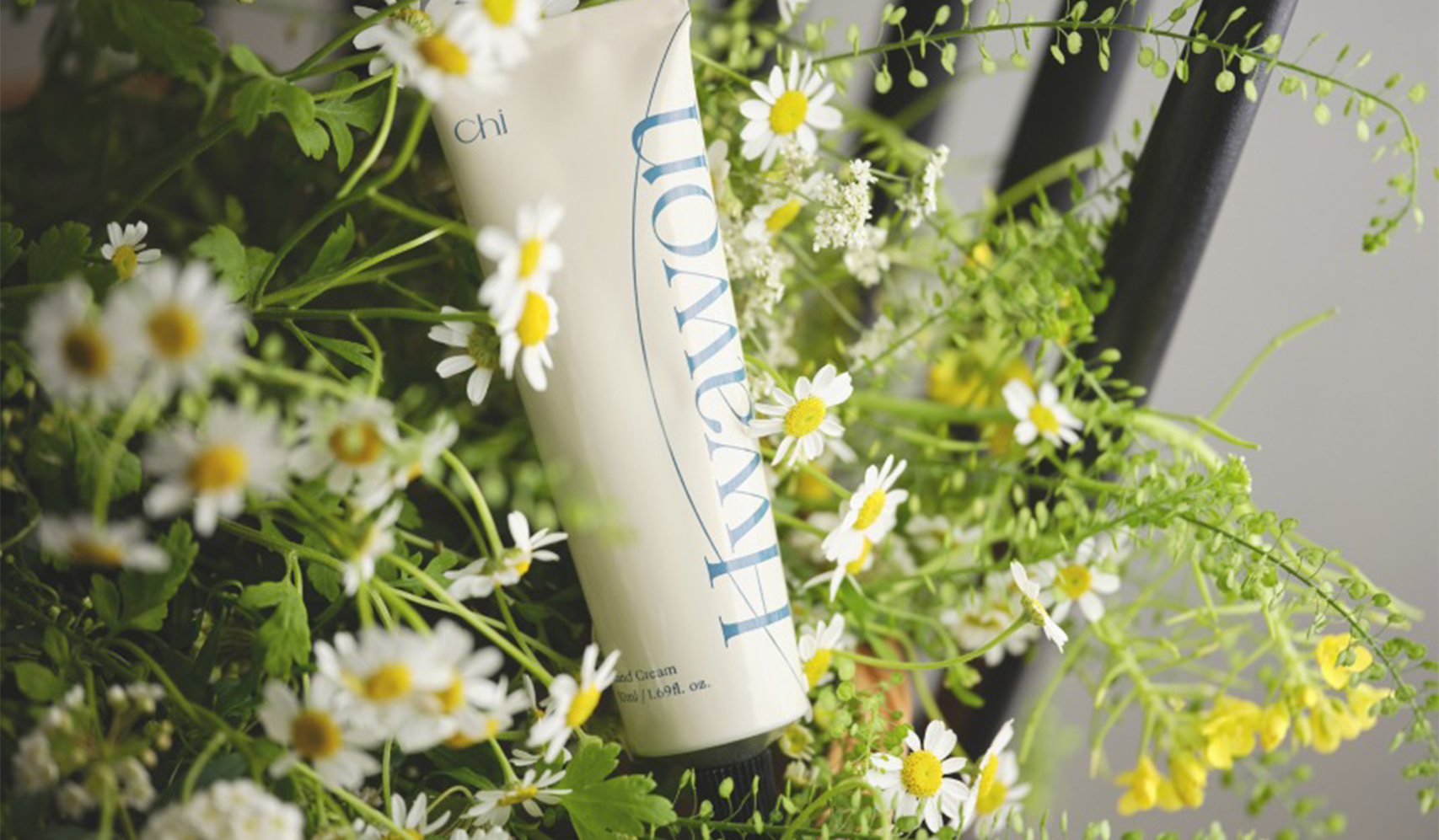 Tube of Hwanyu skincare product surrounded by fresh chamomile and greenery, highlighting natural beauty ingredients.