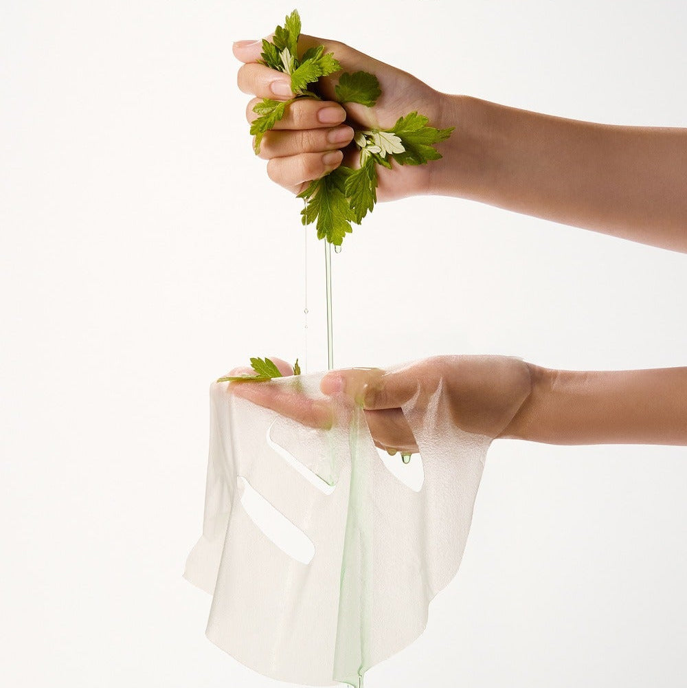 Hand holding WHIPPED Mugtree Vegan Pore Cooling Squeeze Mask 1ea with fresh green leaves, showcasing its natural ingredients and texture.