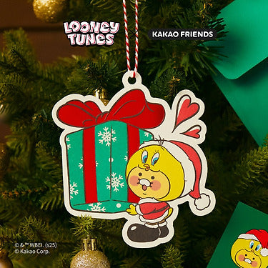 X Friends Card Baby Chunsik - Official Kakao Friends merchandise | Koolseoul