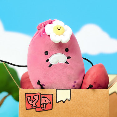 Pouch - Official Kakao Friends merchandise | Koolseoul