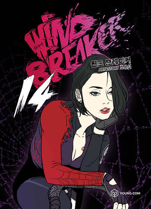 Wind Breaker - Manhwa Book Vol.14 - Korean manhwa, Wind Breaker series, original Korean edition